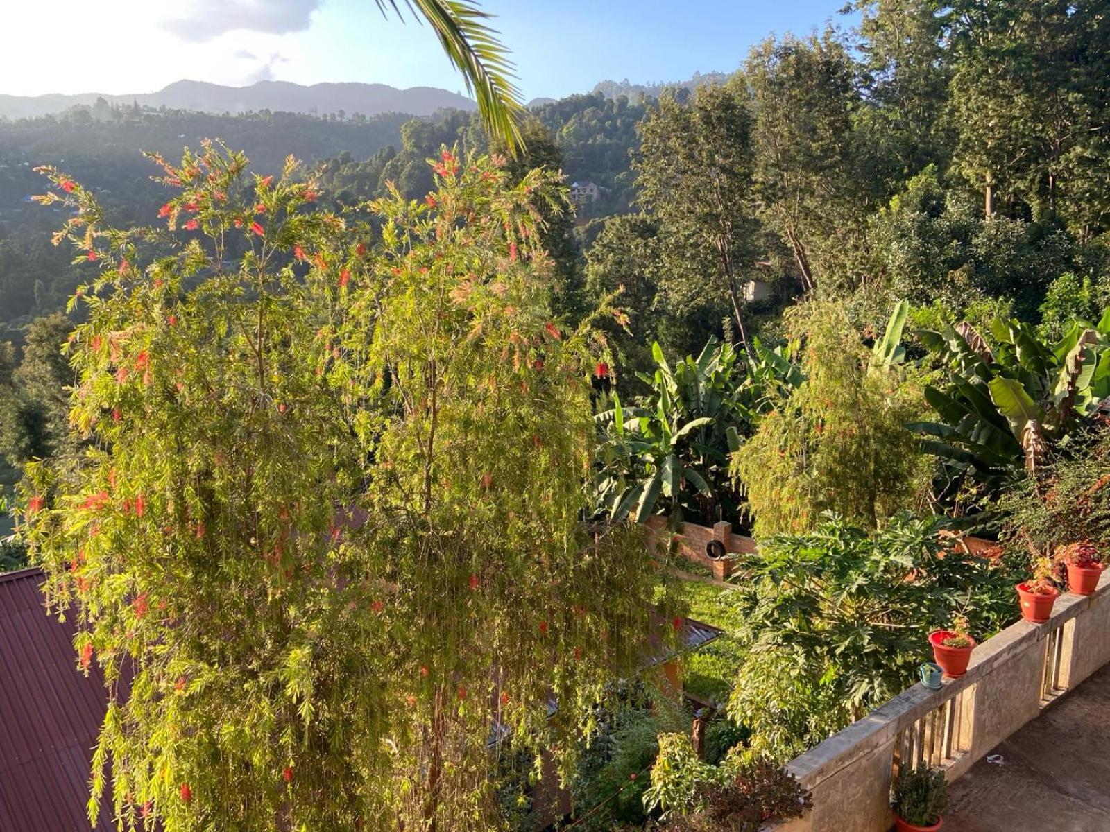 Lushoto Views Cottage Exterior photo